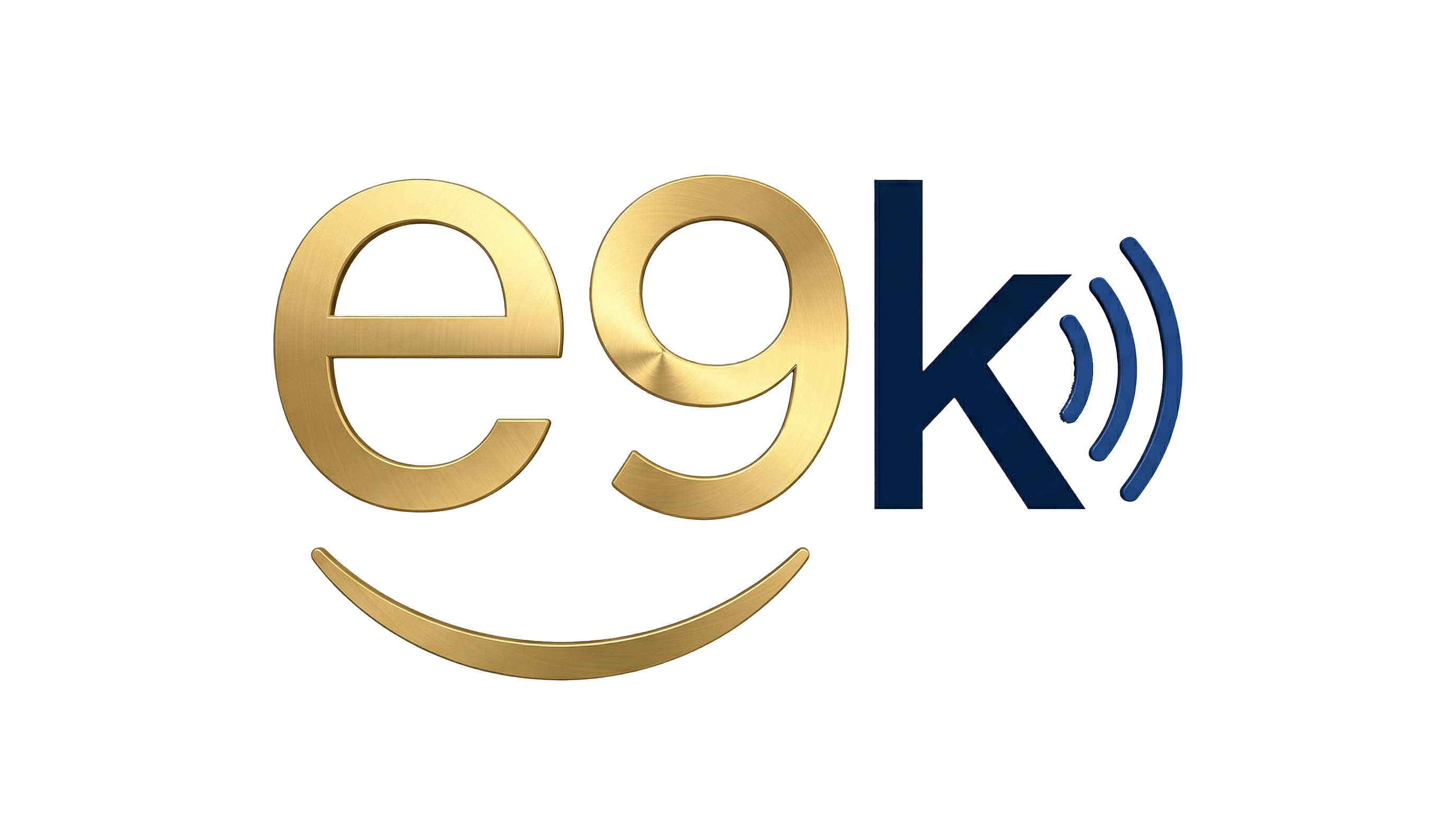 e9Kontrol logo